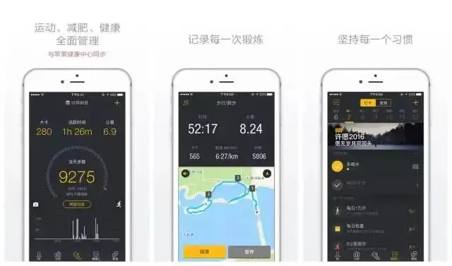 篮球封闭训练中的体能提升方案_1